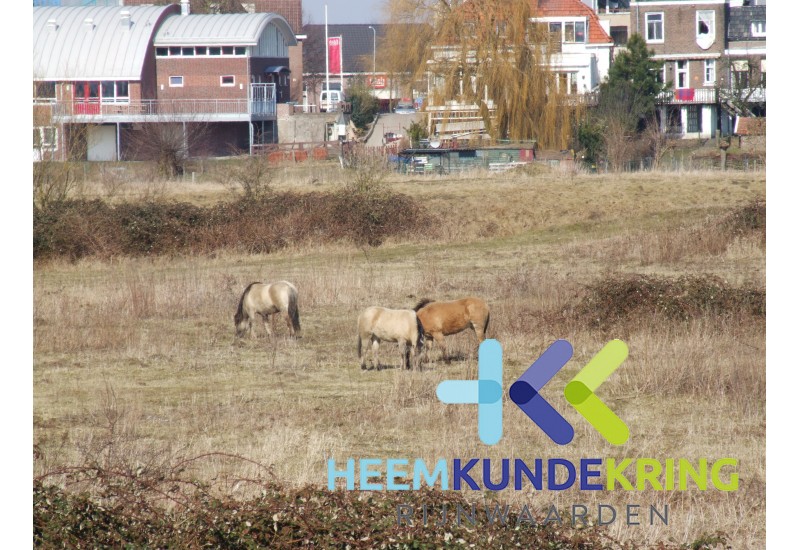 2006-13-03 Geuzenwaard -Zicht op oud Lobith Coll. HKR
